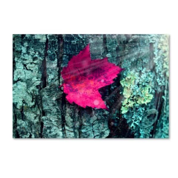 Mark Ashkenazi 'Img 8417' Canvas Art, 22x32, Trademark Fine Art, Mfr#: ALI7902-C2232GG